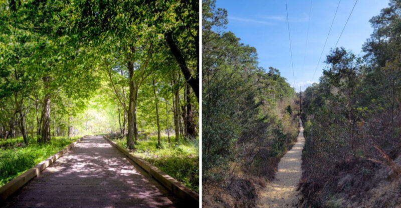 10 Quiet North Carolina Hikes To Escape The August Crowds In 2026