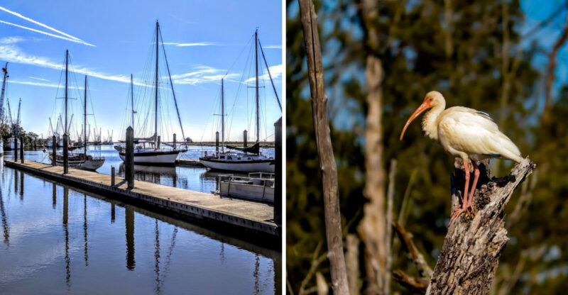 This Gorgeous Georgia Coastal Town Might Just Be The Most Beautiful Small Town On The Coast
