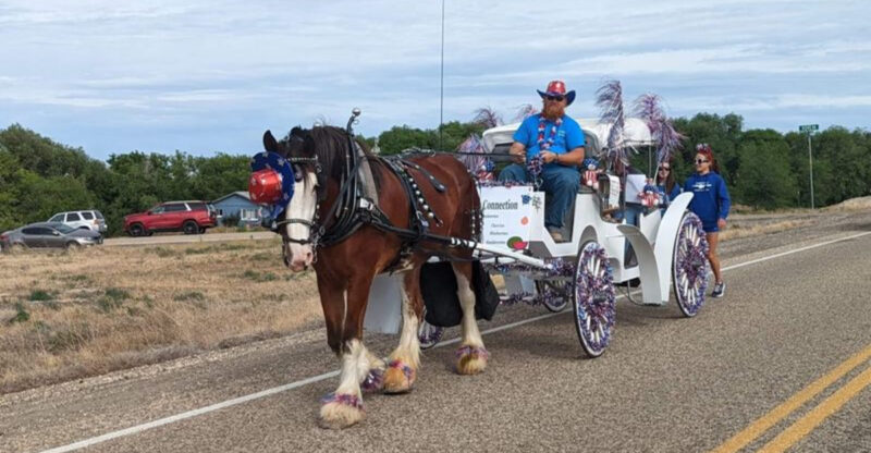 This Idaho Carriage Ride Lets You Travel The Old-Fashioned Way Behind An 18-Hand Clydesdale