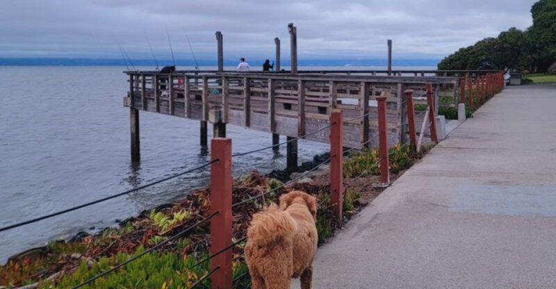 11 Bay Area Bike Trails That Feel Miles Away From California’s Crowds In 2026