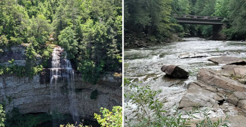 This Little-Known Tennessee Forest Trail Hides Fossilized Seashells