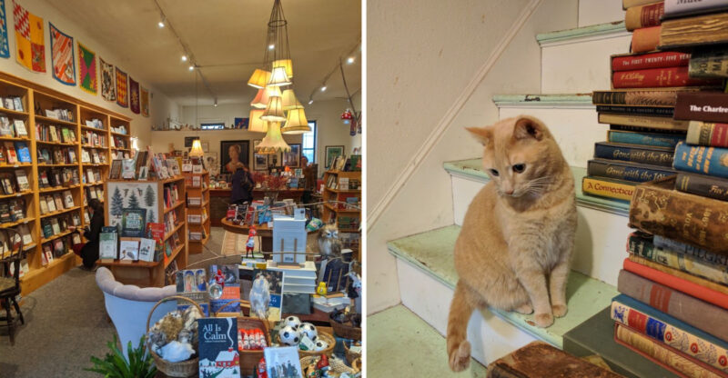 Forget The Crowds For An Afternoon And Explore These 10 Maine Bookstores Instead