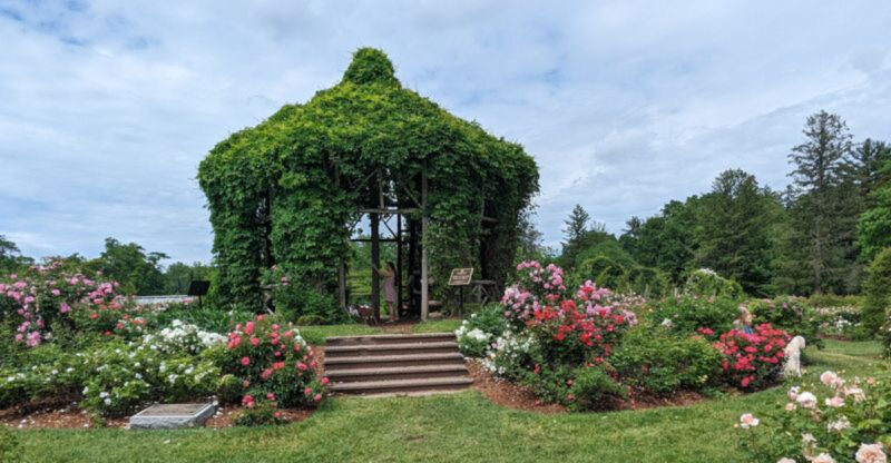 12 Connecticut Date Ideas That Prove Romance Doesn’t Have To Be Expensive
