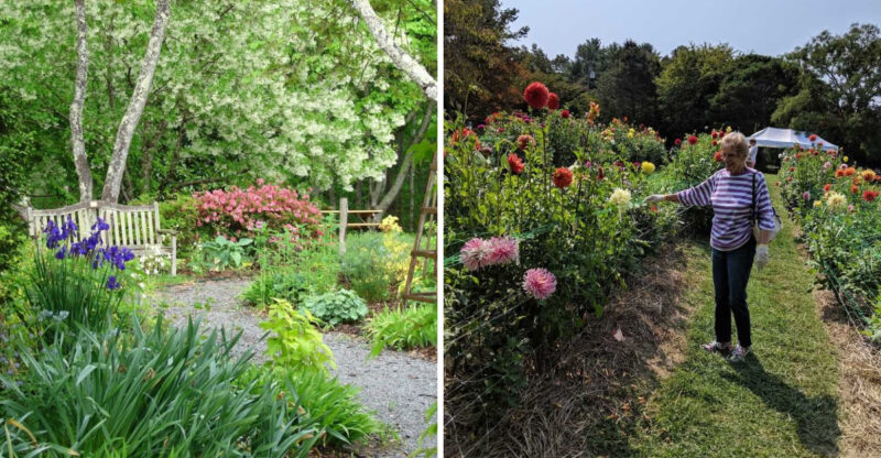 This Hidden North Carolina Botanical Garden Lets Seniors Visit Completely Free