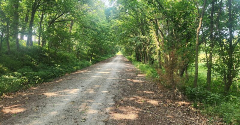 This 31-Mile Nebraska Bike Trail Follows An Old Railroad Through Tiny Towns And Open Farm Country