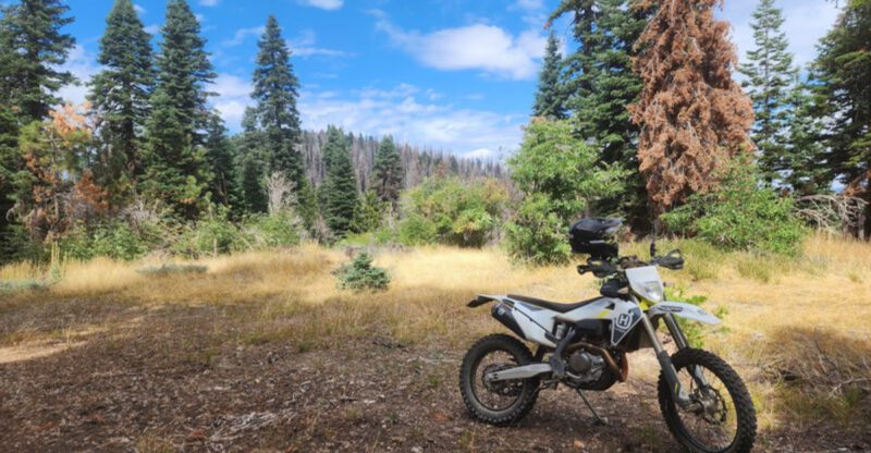 Welcome To This California Forest Where Even The Ticks Come With A Warning