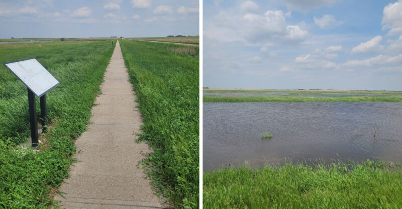 This Beautiful Nebraska Trail Leads Across A Boardwalk Into A Wildlife-Filled Wetland