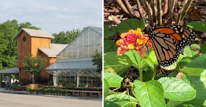 The Biggest Butterfly House In Kentucky Is A Charming Way To Spend An Afternoon