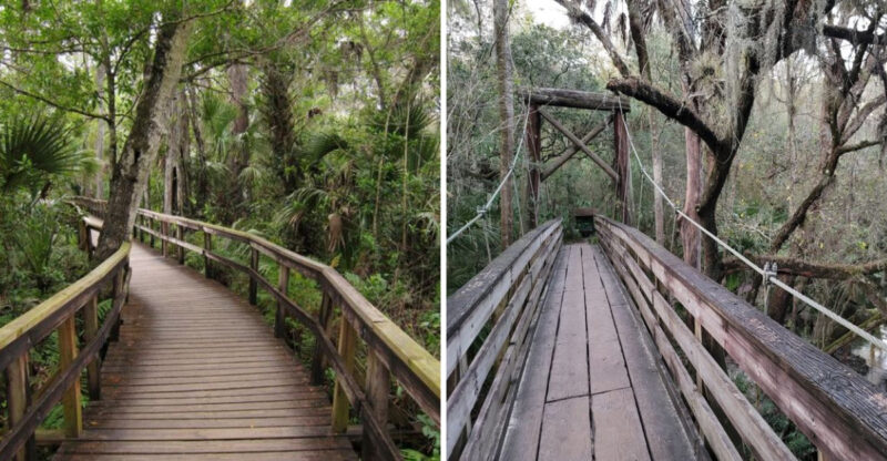 8 Shady Florida Trails Perfect For Escaping The Summer Sun