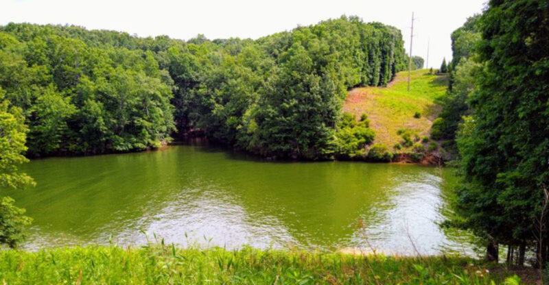This 1.8-Mile Georgia Trail Crosses A Peaceful Wildlife Sanctuary Most Visitors Never Notice