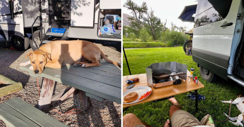 This Waterfront Campground In Idaho Is One Of The Most Pet-Friendly Spots In America