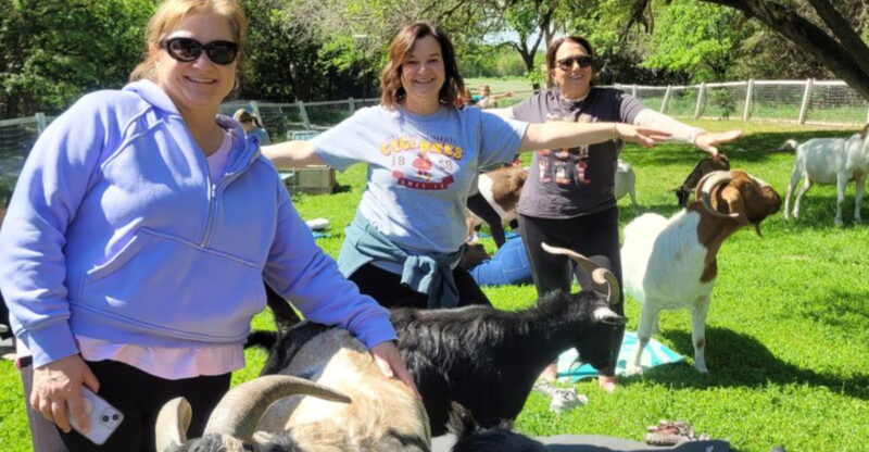 This One-Of-A-Kind Nebraska Animal Rescue Lets You Cuddle Goats And Sleep Under The Stars