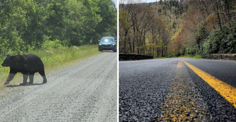 10 North Carolina Scenic Drives Where Locals Avoid Driving After Dark
