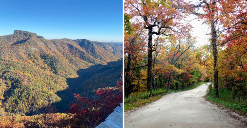 North Carolina Has Its Own Grand Canyon And A Shockingly Easy 0.4-Mile Hike Leads Straight To The View