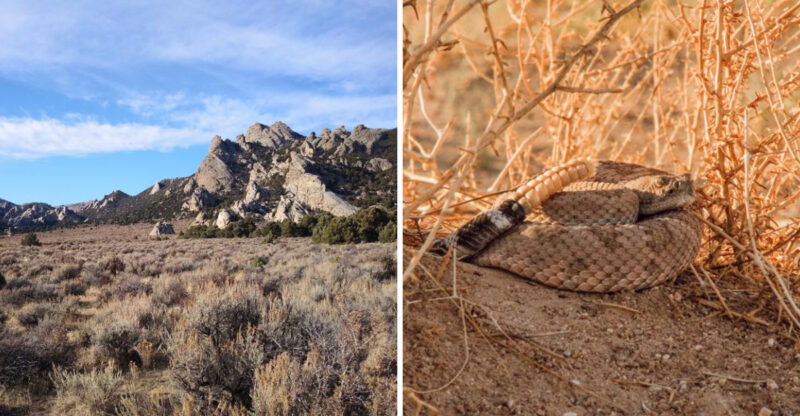 These Are 8 Places In Idaho Where Rattlesnakes Have Been Spotted