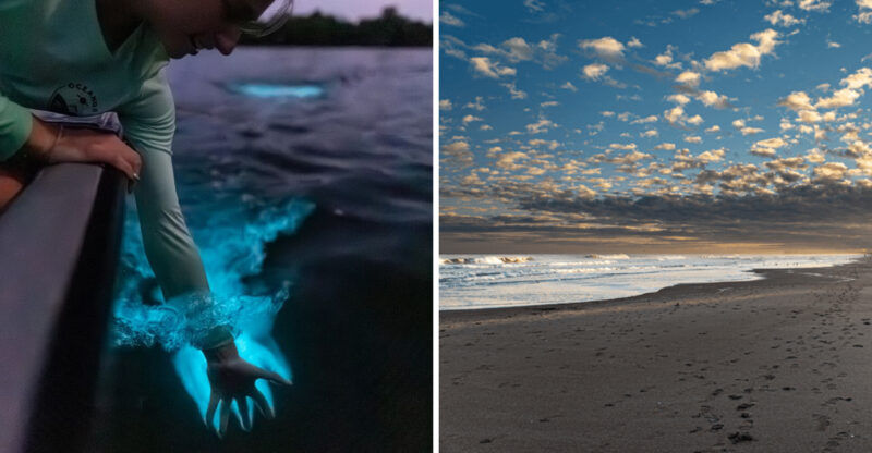 These North Carolina Waters Glow Like Neon After Dark And Most People Have No Idea Why