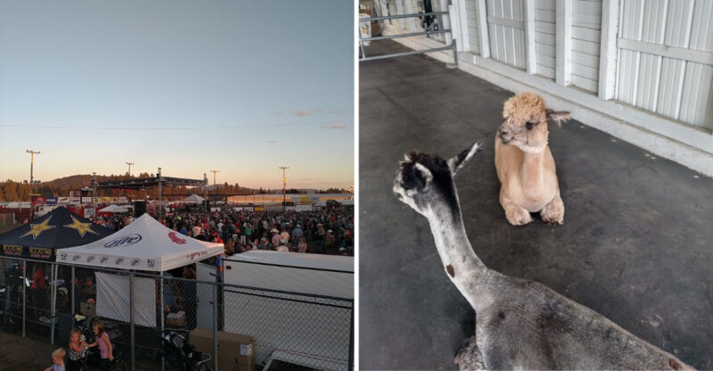 This Idaho Fair Takes Over 10 Days Of August With Music, Farm Fun, And More