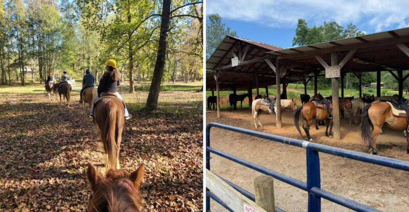 This Scenic Horseback Tour In Georgia Takes You Through Mountains And Across Rivers