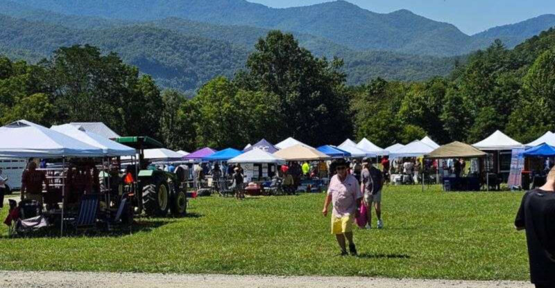 This Two-Day August North Carolina Fair Brings Live Music, Food Trucks, Farm Fun, And Mountain Views