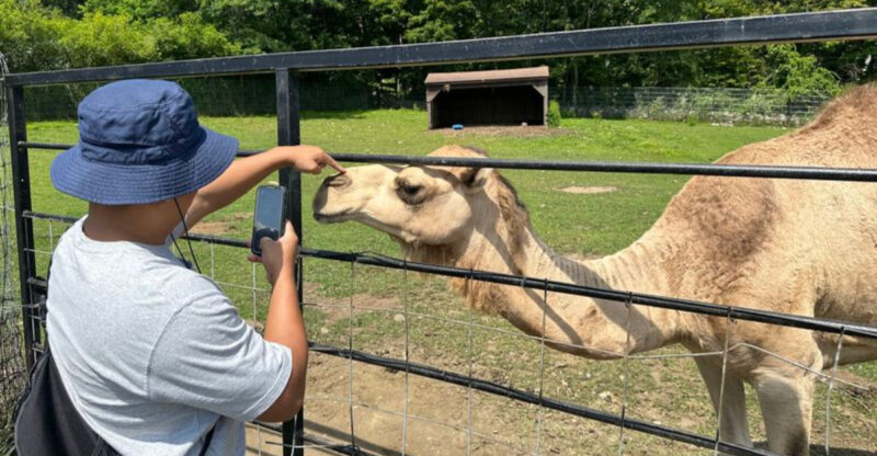 A Connecticut Wildlife Sanctuary Where Families Can Get Surprisingly Close To The Animals