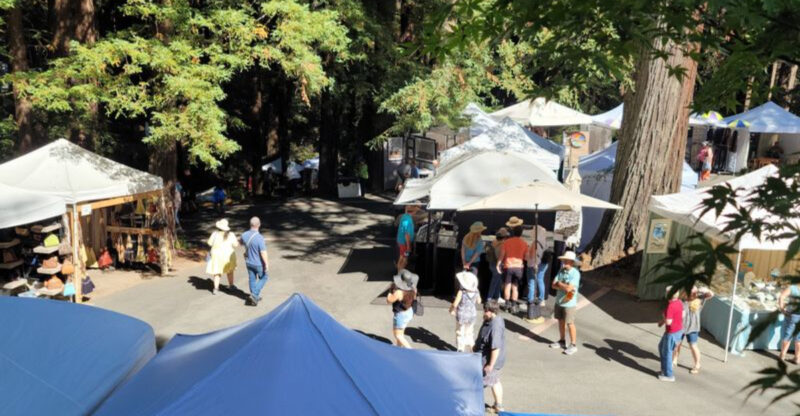 This California Art Fair Turns A Redwood Forest Into An Outdoor Gallery With 125+ Artists
