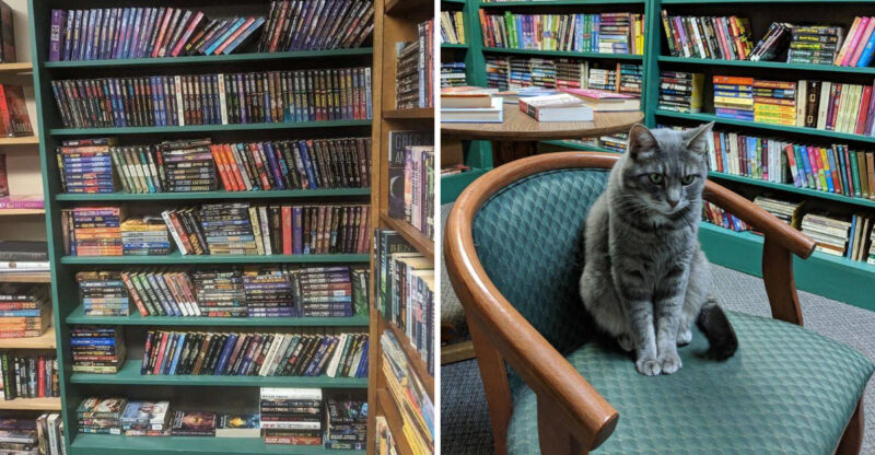 This Massive Nebraska Bookstore Has More Than 50,000 Books To Dig Through