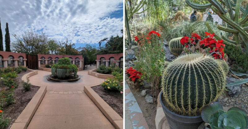 This Stunning New Mexico Botanical Garden Is More Than Just A Place To See Flowers