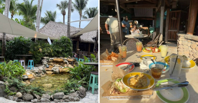This Florida Restaurant Offers A Tropical Meal Beneath Giant Banyan Trees