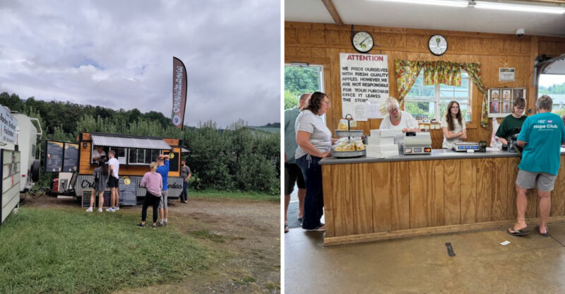 This North Carolina Orchard Is Worth The Drive For Its Famous Fresh-Baked Apple Turnovers