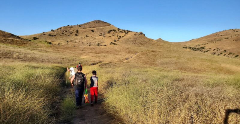 Hikers Are On High Alert At This Southern California Canyon After A Surge In Rattlesnake Encounters