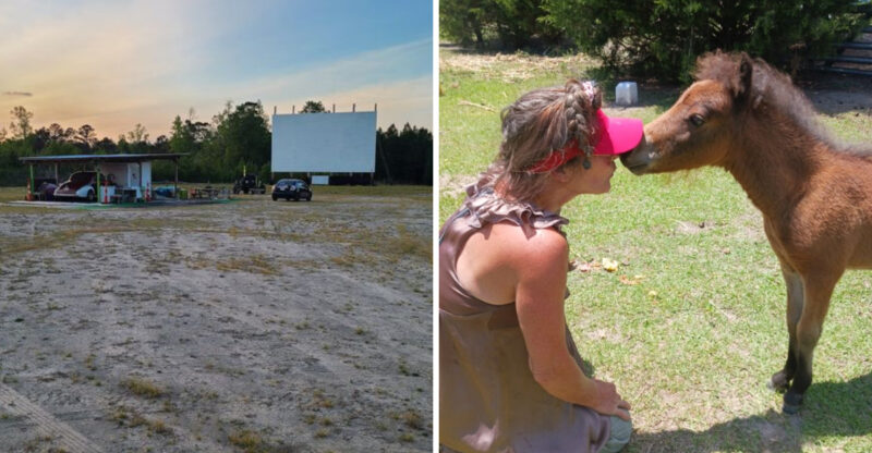 This North Carolina Drive-In Lets You Watch Movies, Camp Overnight And Even Bring Your Horse