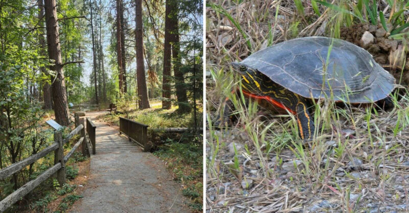This Quiet Idaho Park Might Be The Best Place To Spot Wildlife In The Wild