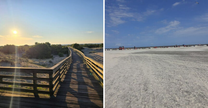 These 10 Georgia Beaches Are Worth Exploring For Shells, Shark Teeth, And Coastal Treasures