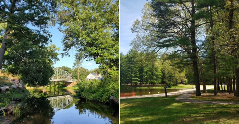 This Quiet Connecticut Town Has So Many Black Bear Sightings Locals Know To Stay Alert