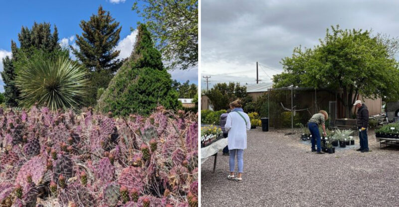 One Of Idaho’s Most Stunning Botanical Gardens Is Still A Well-Kept Secret