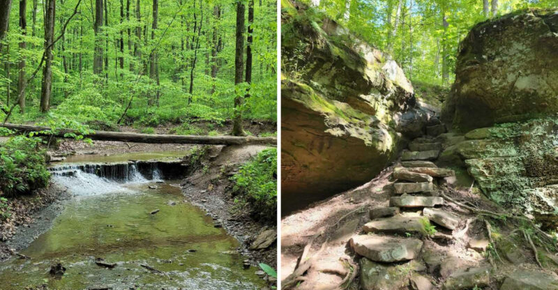 If You Only Hike One Trail In Indiana This Year, Make It This Scenic Path To A Hidden Waterfall