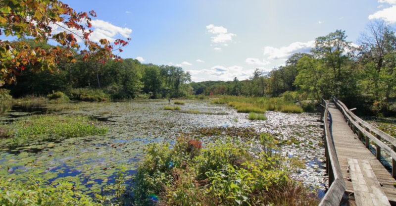 Where To Go In Connecticut When You Want Fresh Air And A Break From The Crowds