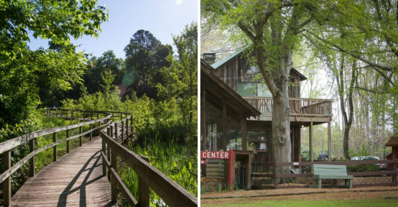10 Georgia Nature Centers That Are Surprisingly Fun For Adults