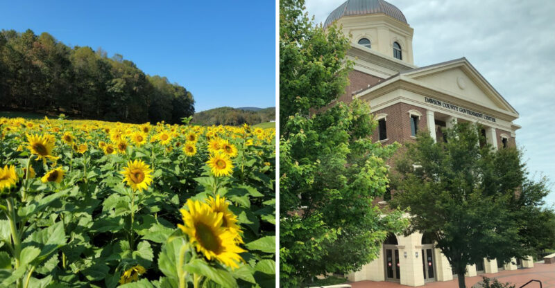This Quiet Georgia Town Has Vibrant Sunflower Fields You Must See Before Fall
