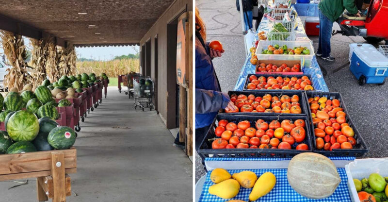 9 Nebraska Farm Markets Filled With Homemade Food And Fresh Produce