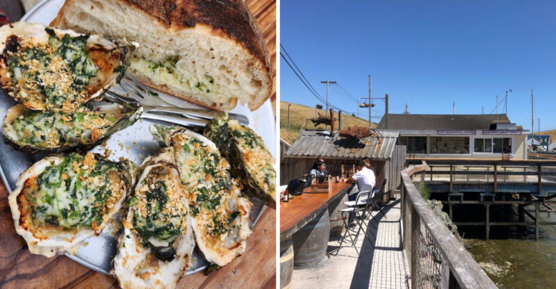 People Take The Long Way To This Tiny California Seafood Shack Just For The Oysters