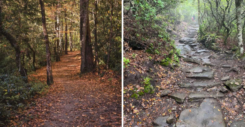 These 9 North Carolina Hiking Trails Locals Skip In August But Return To In September