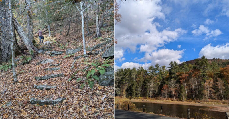 The Overlooked 1,245-Acre Connecticut State Forest Where The Crowds Seem A World Away