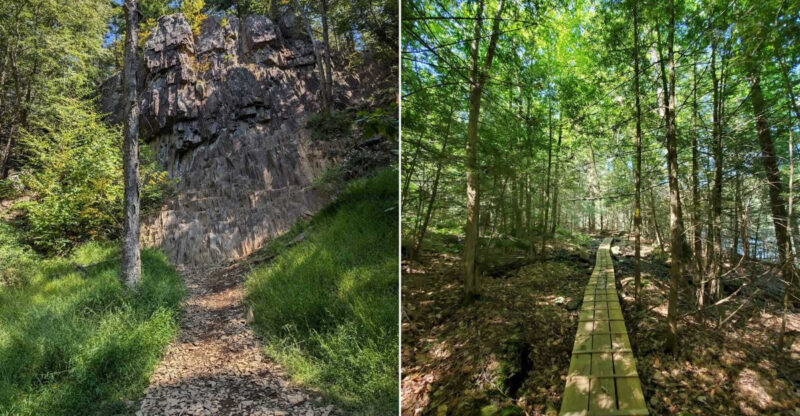 8 Connecticut Hiking Trails Locals Avoid In Late Summer Because Of Active Black Bears