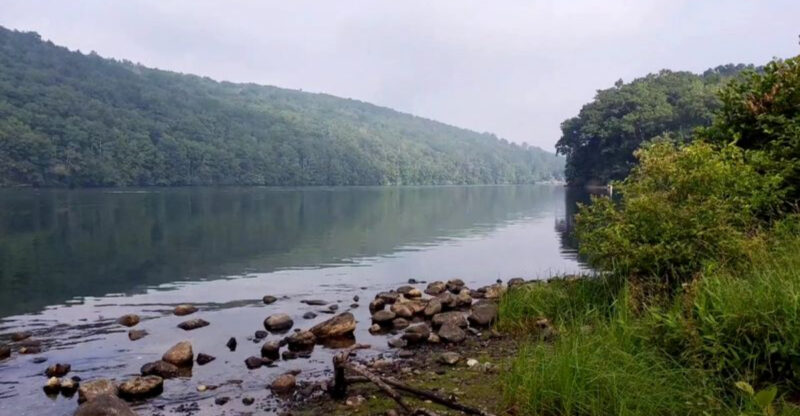 This Connecticut Lake Shore Is Getting Too Snake-Infested For Its Own Good