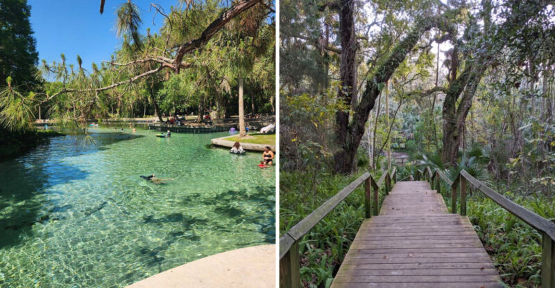 Most People Never Find This Florida Waterpark Hidden In The Woods