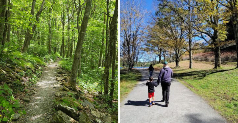 These 8 Incredible Hikes Are Within 30 Minutes Of Downtown Boone North Carolina And Deserve More Attention