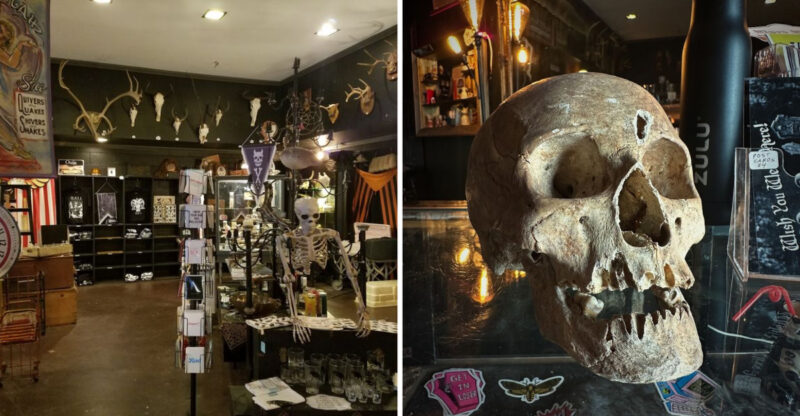 This Spooky Tennessee Oddities Shop Feels Like A Wonderland Of Strange Finds