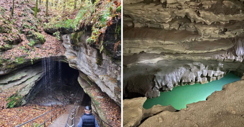 Scientists Keep Finding Ancient Sharks Inside Kentucky’s Most Famous Cave