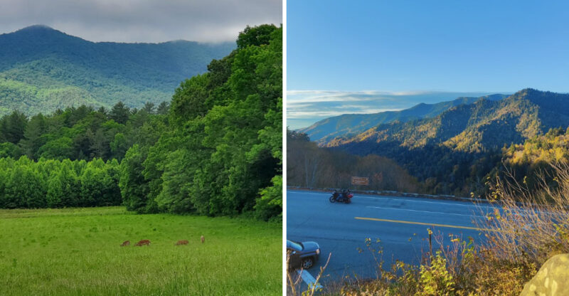 This North Carolina Mountain Wonderland Is One Of America’s UNESCO World Heritage Sites